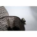 Small Product Preview Image 10
